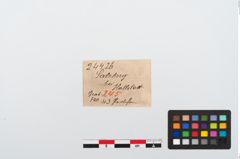 Etikett zu Perlenkette (NHMW-PRAE-024426)